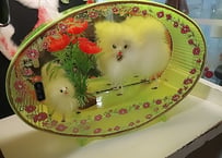 お土産品・スピッツの閉じ込め🌸特大置物