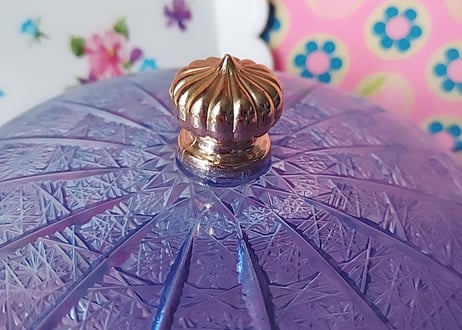 パープル色のプラスティックケース💜