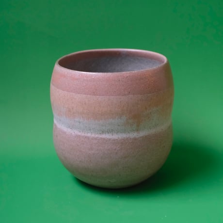 Yoshinori Takemura cup