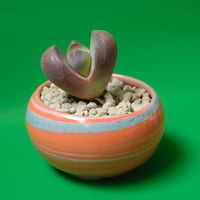 Yoshinori Takemura plant pot