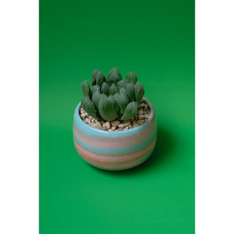 Yoshinori Takemura plant pot
