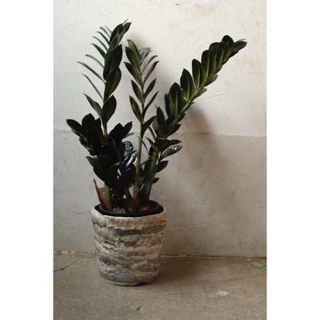 Yoshinori Takemura plant pot