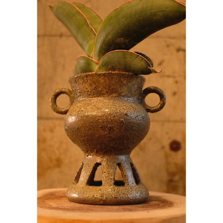Azumi Aoyagi  plant pot