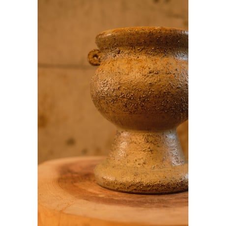 Azumi Aoyagi  plant pot