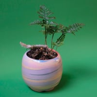 Yoshinori Takemura plant pot