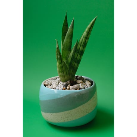 Yoshinori Takemura plant pot