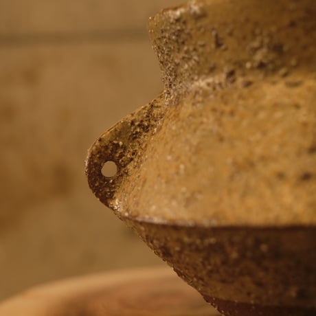 Azumi Aoyagi  plant pot