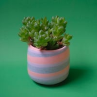 Yoshinori Takemura plant pot