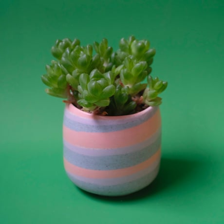 Yoshinori Takemura plant pot