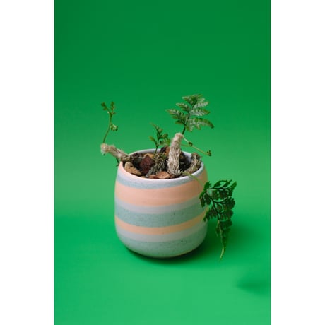 Yoshinori Takemura plant pot