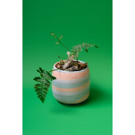 Yoshinori Takemura plant pot