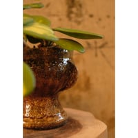 Azumi Aoyagi  plant pot