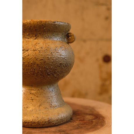 Azumi Aoyagi  plant pot