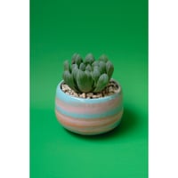 Yoshinori Takemura plant pot