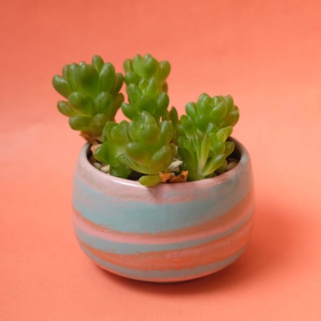 Yoshinori Takemura plant pot