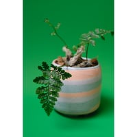 Yoshinori Takemura plant pot