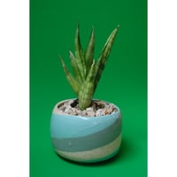 Yoshinori Takemura plant pot