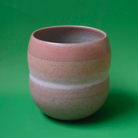 Yoshinori Takemura cup