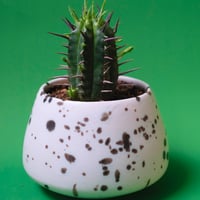 Yoshinori Takemura plant pot