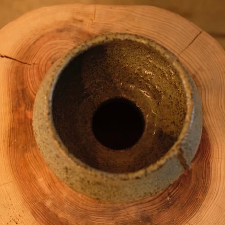 Azumi Aoyagi  plant pot