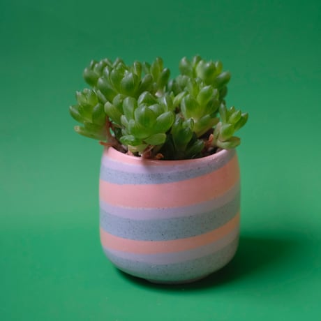 Yoshinori Takemura plant pot