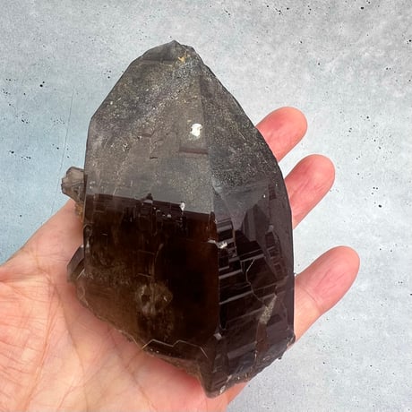 【ガウリシャンカール産】天然ヒマラヤスモーキークォーツ/GauriShankar Himalayan Smoky Quartz