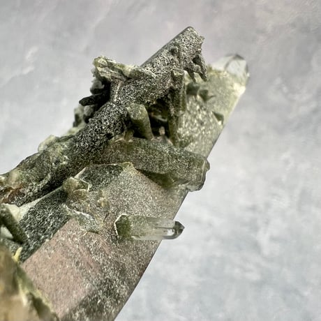 【ガネッシュヒマール産】クローライト&アクチノライトイン天然ヒマラヤ水晶/Ganesh Himal Chlorite&Actinorite in Himalayan Quartz