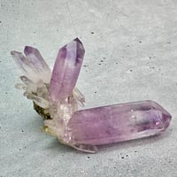 【ベラクルス産】アメシストクラスター5⃣/Veracruz Amethyst Cluster