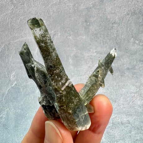 【ガネッシュヒマール産】クローライト&アクチノライトイン天然ヒマラヤ水晶/Ganesh Himal Chlorite&Actinorite in Himalayan Quartz