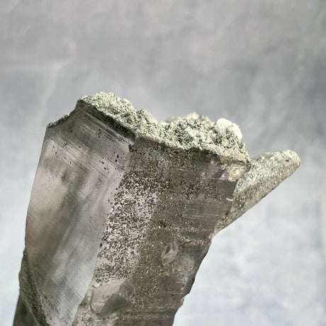 【ガネッシュヒマール産】クローライトイン天然ヒマラヤ水晶/GaneshHimal Chlorite in Himalayan Quartz