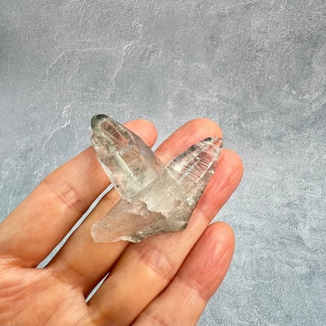 【ガネッシュヒマール産】クローライトイン天然ヒマラヤ水晶/GaneshHimal Chlorite&Albite in Himalayan Quartz