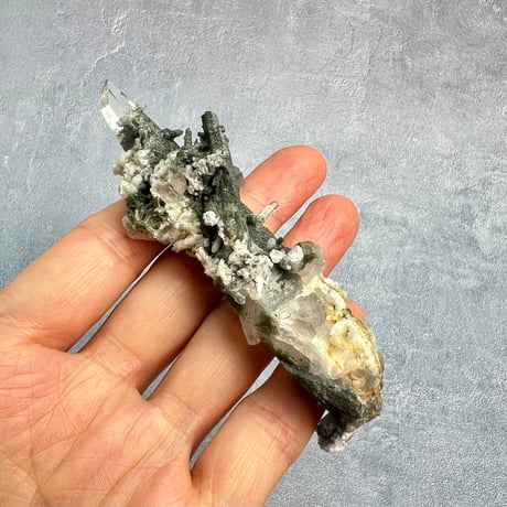 【ガネッシュヒマール産】クローライト&アクチノライトイン天然ヒマラヤ水晶/Ganesh Himal Chlorite&Actinorite in Himalayan Quartz