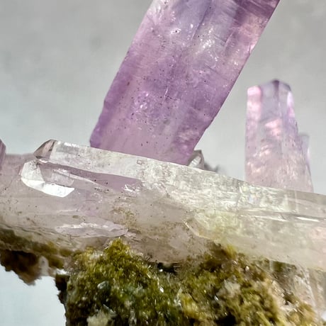 【ベラクルス産】アメシストクラスター5⃣/Veracruz Amethyst Cluster