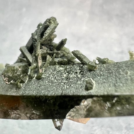 【ガネッシュヒマール産】クローライト&アクチノライトイン天然ヒマラヤ水晶/Ganesh Himal Chlorite&Actinorite in Himalayan Quartz