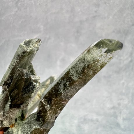 【ガネッシュヒマール産】クローライト&アクチノライトイン天然ヒマラヤ水晶/Ganesh Himal Chlorite&Actinorite in Himalayan Quartz