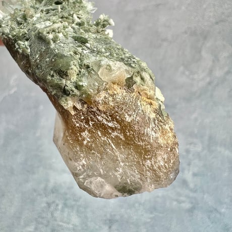 【ガネッシュヒマール産】クローライト&アクチノライトイン天然ヒマラヤ水晶/Ganesh Himal Chlorite&Actinorite in Himalayan Quartz