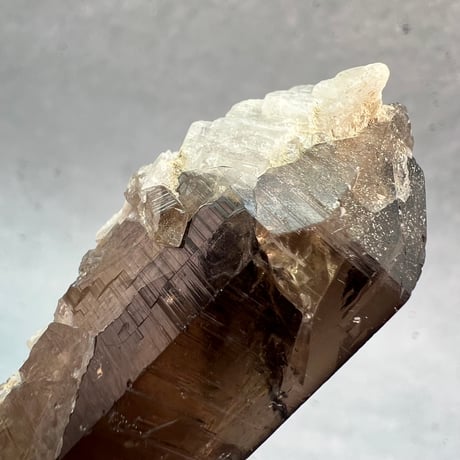 【ガウリシャンカール産】天然ヒマラヤスモーキークォーツ/GauriShankar Himalayan Smoky Quartz