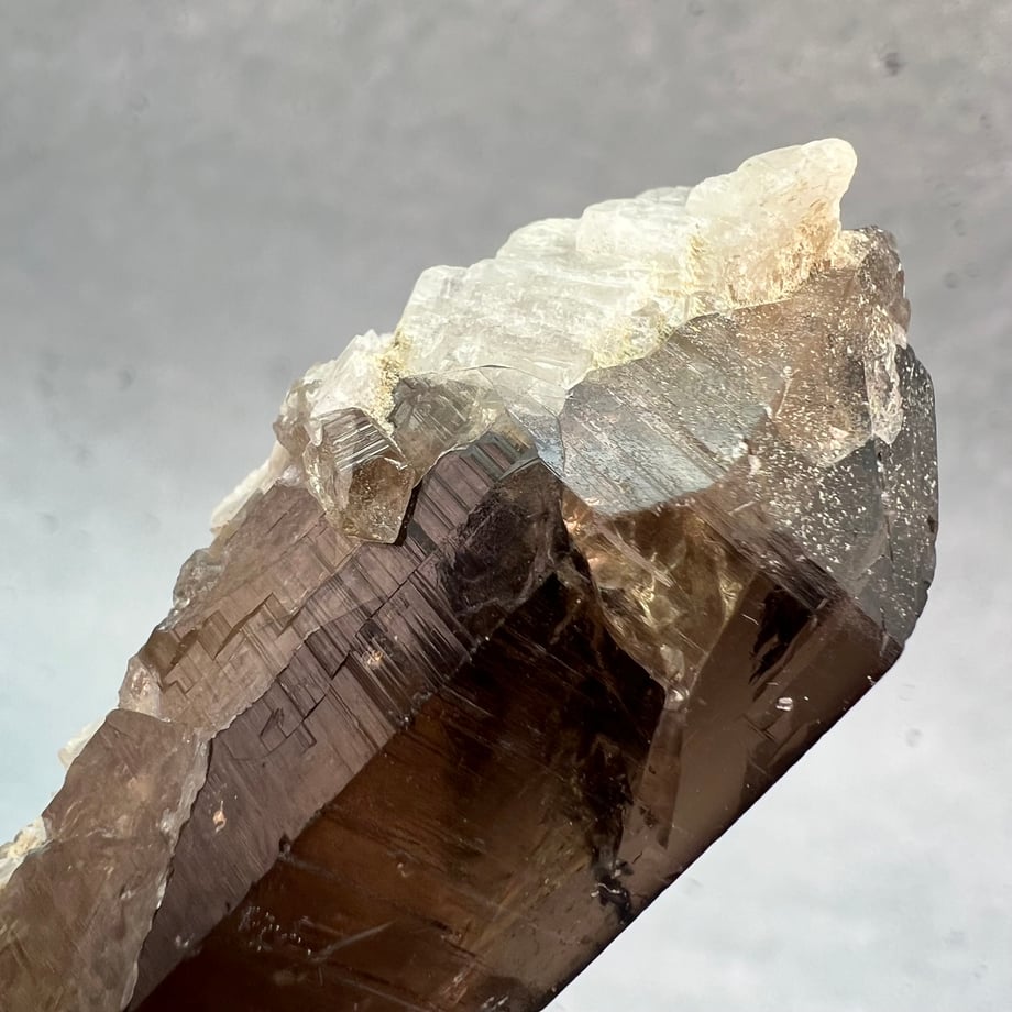 6ae0619d32255c3661922e5d