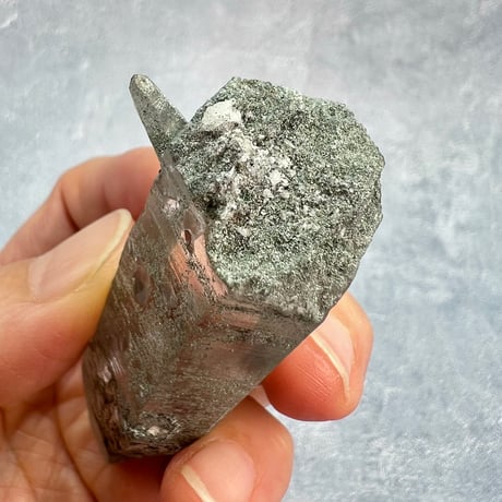 【ガネッシュヒマール産】クローライトイン天然ヒマラヤ水晶/GaneshHimal Chlorite in Himalayan Quartz
