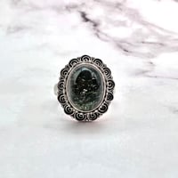 【ガネッシュヒマール産】クローライトイン天然ヒマラヤ水晶S/V925リング/Ganesh Himal Chlorite in Himalayan Quartz S/V925 Ring