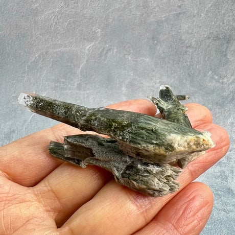 【ガネッシュヒマール産】クローライト&アクチノライトイン天然ヒマラヤ水晶/Ganesh Himal Chlorite&Actinorite in Himalayan Quartz