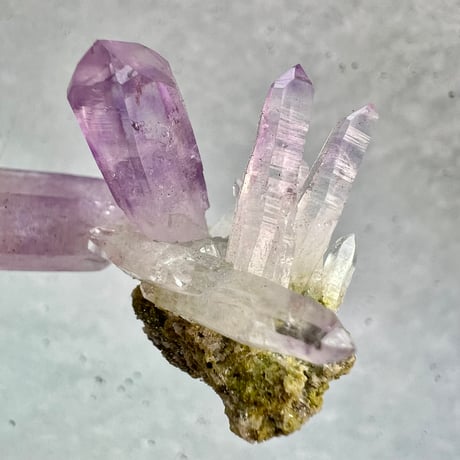 【ベラクルス産】アメシストクラスター5⃣/Veracruz Amethyst Cluster