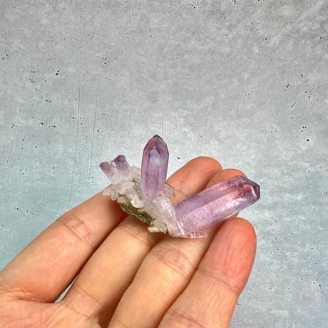【ベラクルス産】アメシストクラスター5⃣/Veracruz Amethyst Cluster