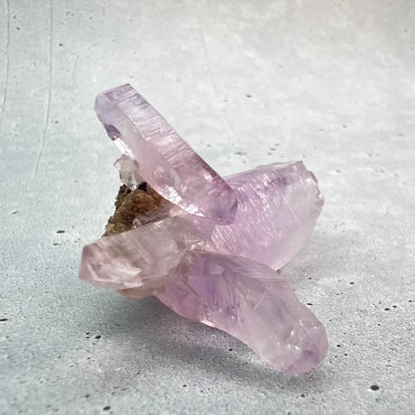【ベラクルス産】アメシストクラスター3️⃣Veracruz Amethyst Cluster