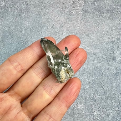 【ガネッシュヒマール産】クローライトイン天然ヒマラヤ水晶/GaneshHimal Chlorite&Albite in Himalayan Quartz