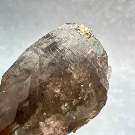 【ガウリシャンカール産】天然ヒマラヤスモーキークォーツ/GauriShankar Himalayan Smoky Quartz