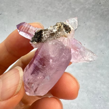 【ベラクルス産】アメシストクラスター3️⃣Veracruz Amethyst Cluster