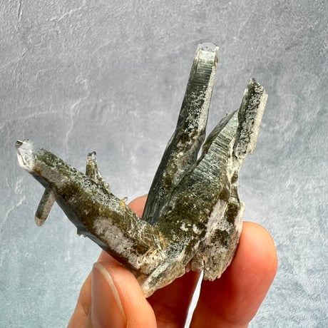 【ガネッシュヒマール産】クローライト&アクチノライトイン天然ヒマラヤ水晶/Ganesh Himal Chlorite&Actinorite in Himalayan Quartz