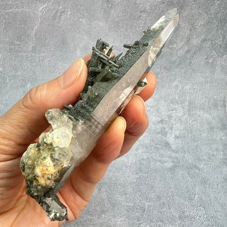 【ガネッシュヒマール産】クローライト&アクチノライトイン天然ヒマラヤ水晶/Ganesh Himal Chlorite&Actinorite in Himalayan Quartz