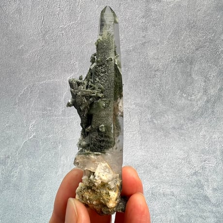 【ガネッシュヒマール産】クローライト&アクチノライトイン天然ヒマラヤ水晶/Ganesh Himal Chlorite&Actinorite in Himalayan Quartz